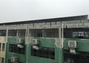 蜜桃视频在线观看免费蜜桃AV一区二区